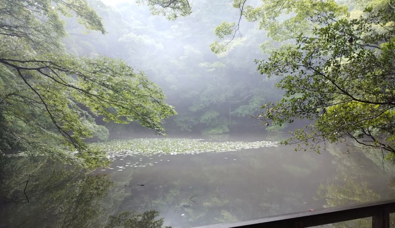 神社巡りと遥拝